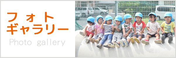 フォトギャラリー